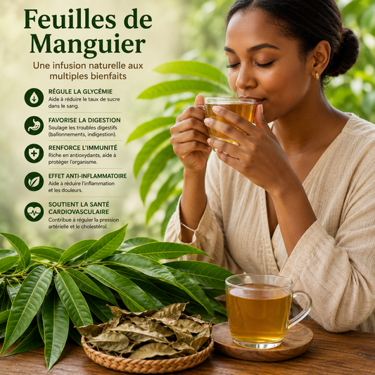 Feuille de Manguier Antioxydants et protection cellulaire