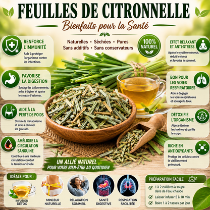 Feuilles de Citronnelle – Fraîcheur, Bien-Être et Harmonie Naturelle