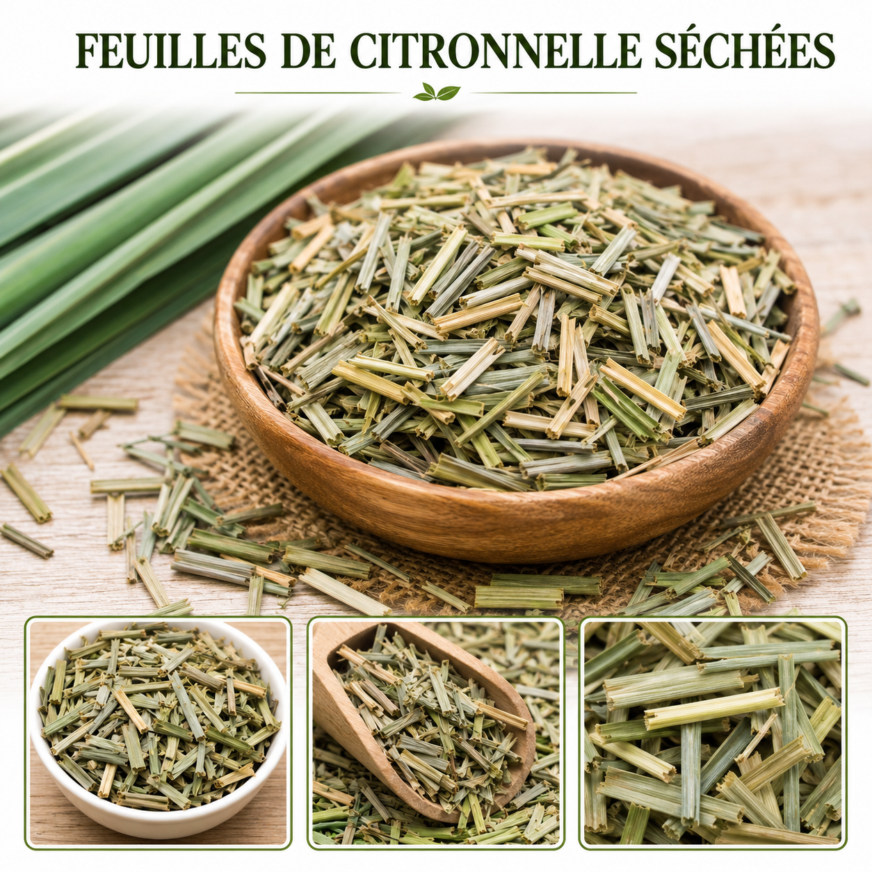 Feuilles de Citronnelle – Fraîcheur, Bien-Être et Harmonie Naturelle
