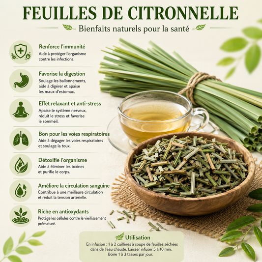 Feuilles de Citronnelle – Fraîcheur, Bien-Être et Harmonie Naturelle