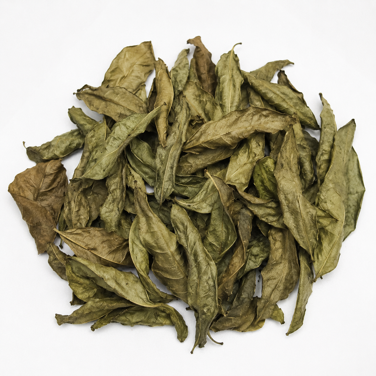 Feuille d'Hysope bain purification et déblocage