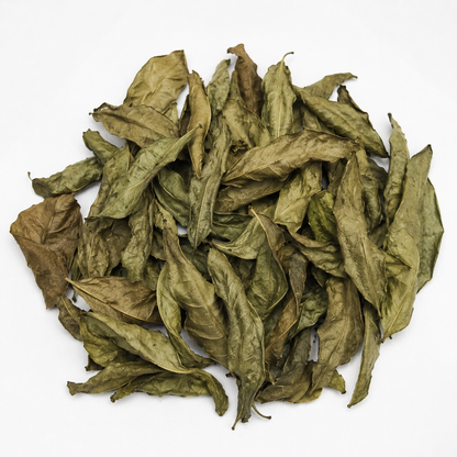 Feuille d'Hysope bain purification et déblocage