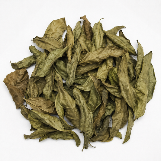 Feuille d'Hysope bain purification et déblocage