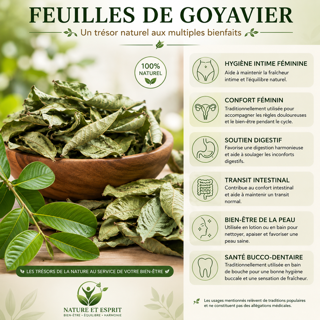 Feuille de Goyavier – Trésor Naturel aux Multiples Bienfaits pour la Santé