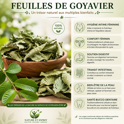 Feuille de Goyavier – Trésor Naturel aux Multiples Bienfaits pour la Santé