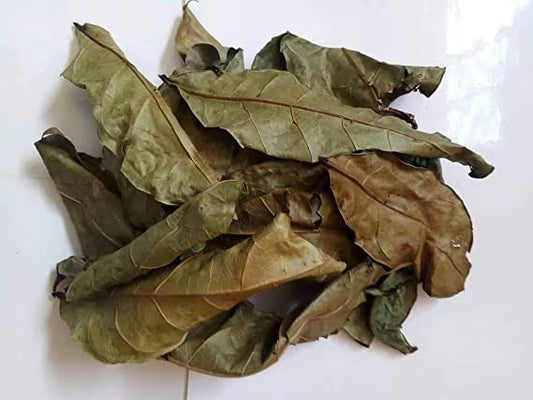 Feuille d'Hysope bain purification et déblocage