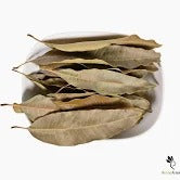 Feuille de Manguier Antioxydants et protection cellulaire